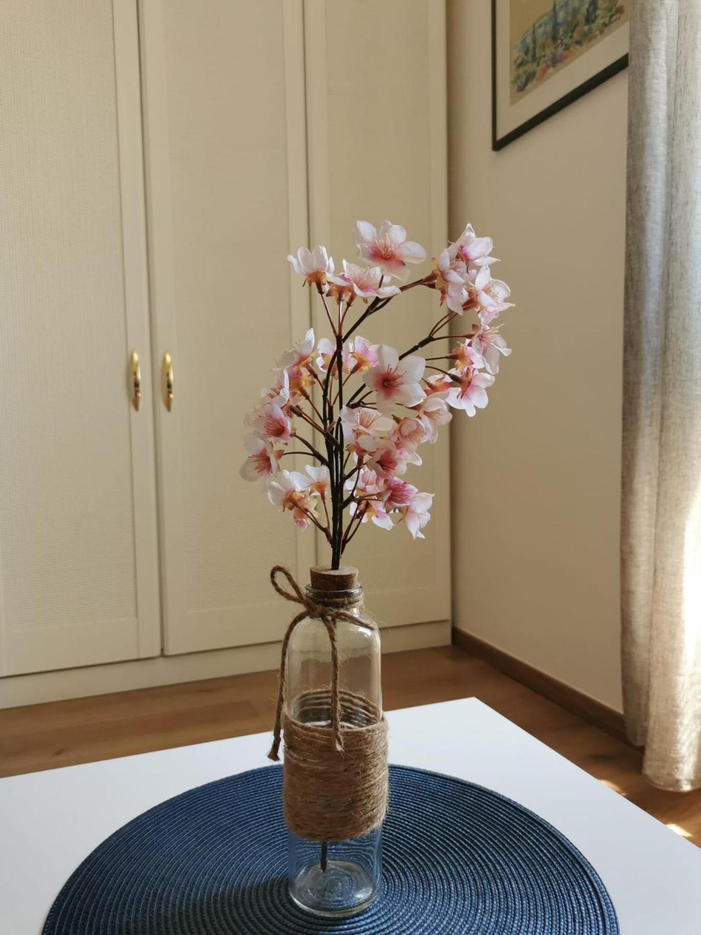 Apartment Oasis